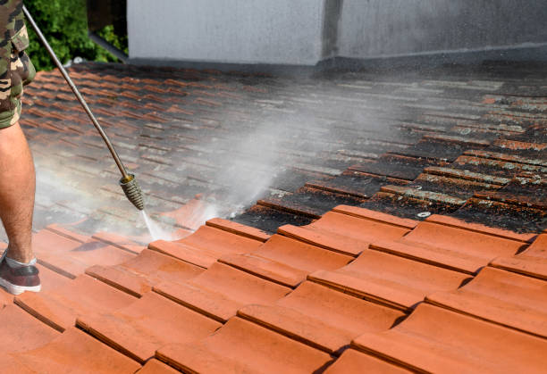 Best Commercial Building Pressure Washing  in Strawberry Plains, TN