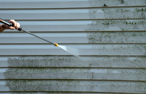 Best Deck Cleaning Services  in Strawberry Plains, TN