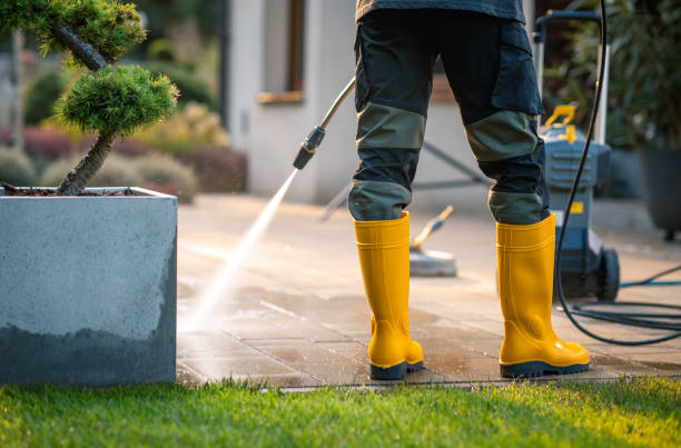 Best Affordable Power Washing  in Strawberry Plains, TN